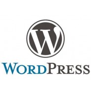 如何判断一个博客网站是不是用WordPress建站？